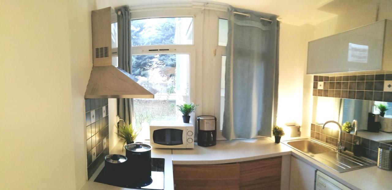Residence Du Parc Des Tilleuls De Lyon 82 M2 Pkg Free ภายนอก รูปภาพ